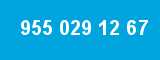 955 029 12 67